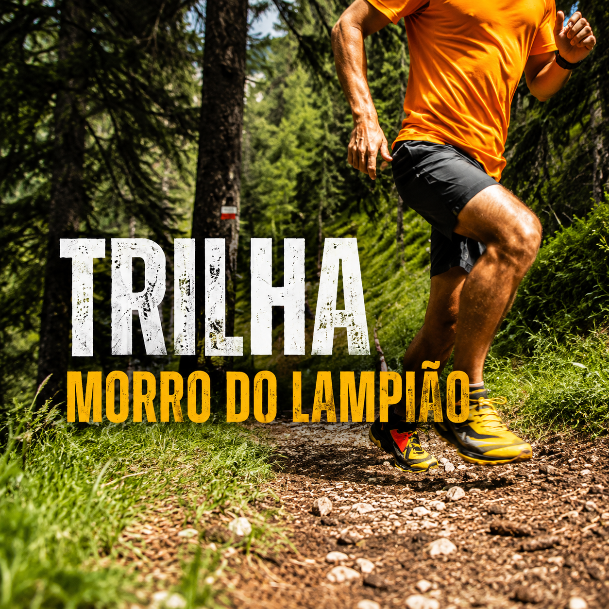TRILHA MORRO DO LAMPIÃO